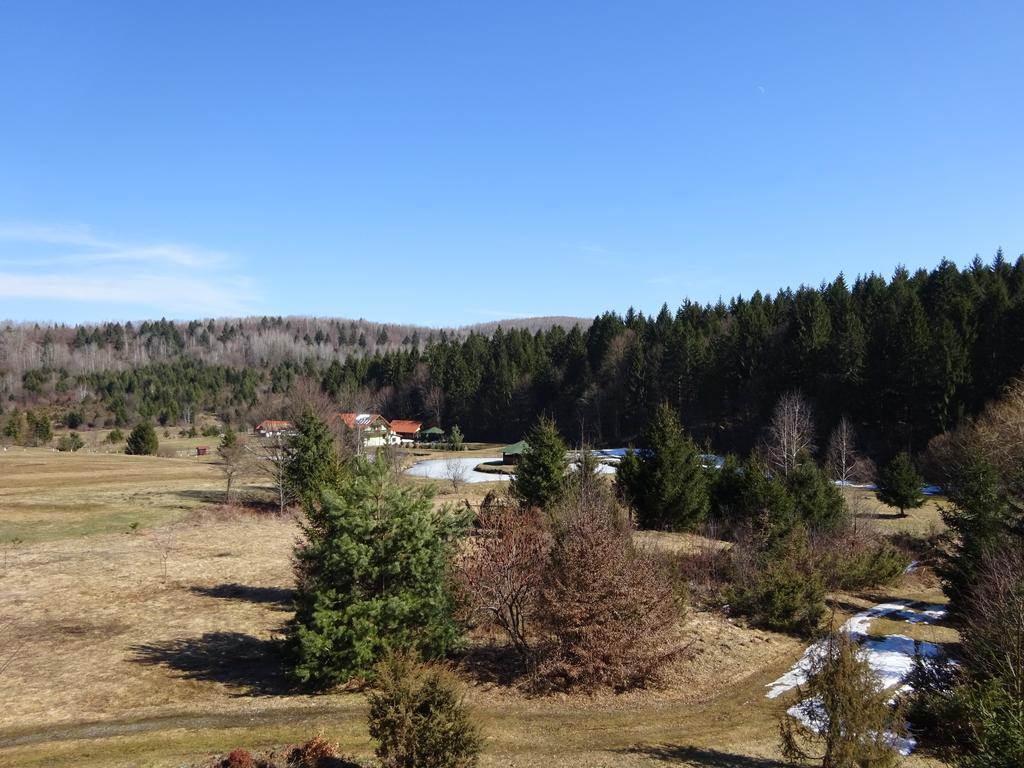 Vila Eden Felsőporumbák Kültér fotó
