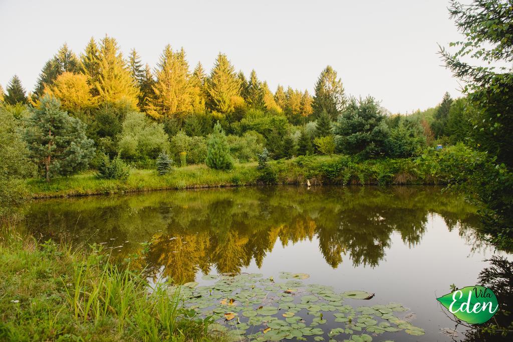 Vila Eden Felsőporumbák Kültér fotó