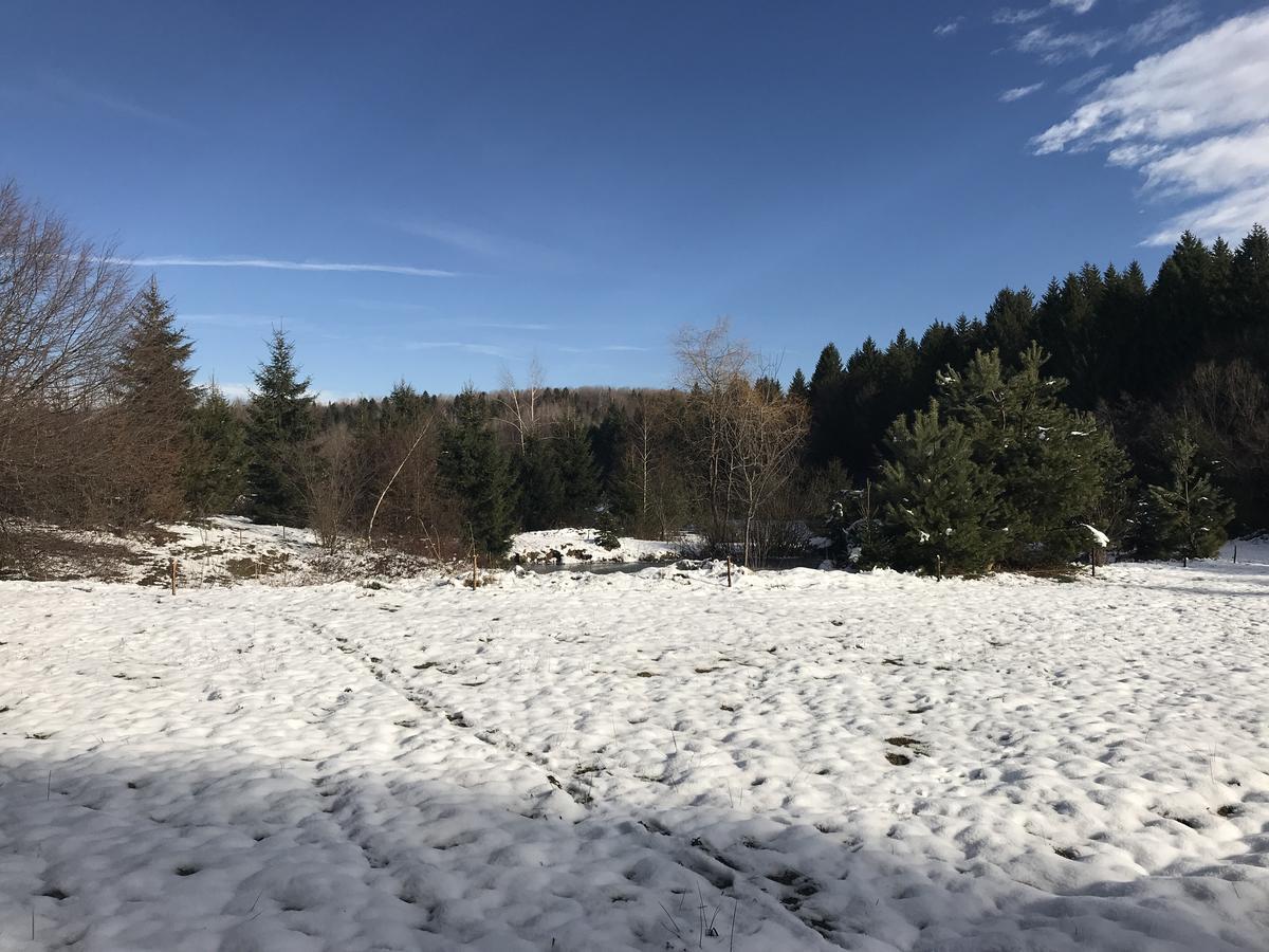 Vila Eden Felsőporumbák Kültér fotó