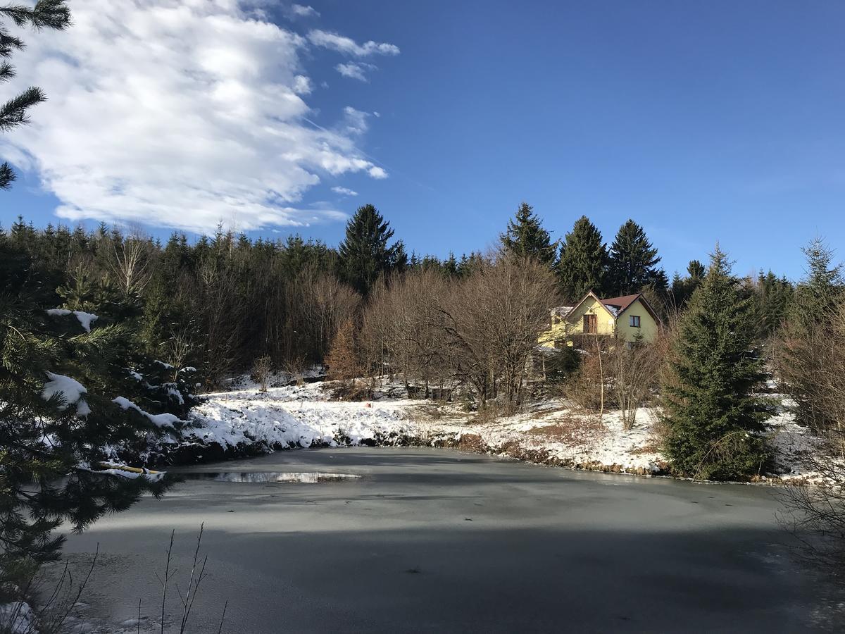 Vila Eden Felsőporumbák Kültér fotó