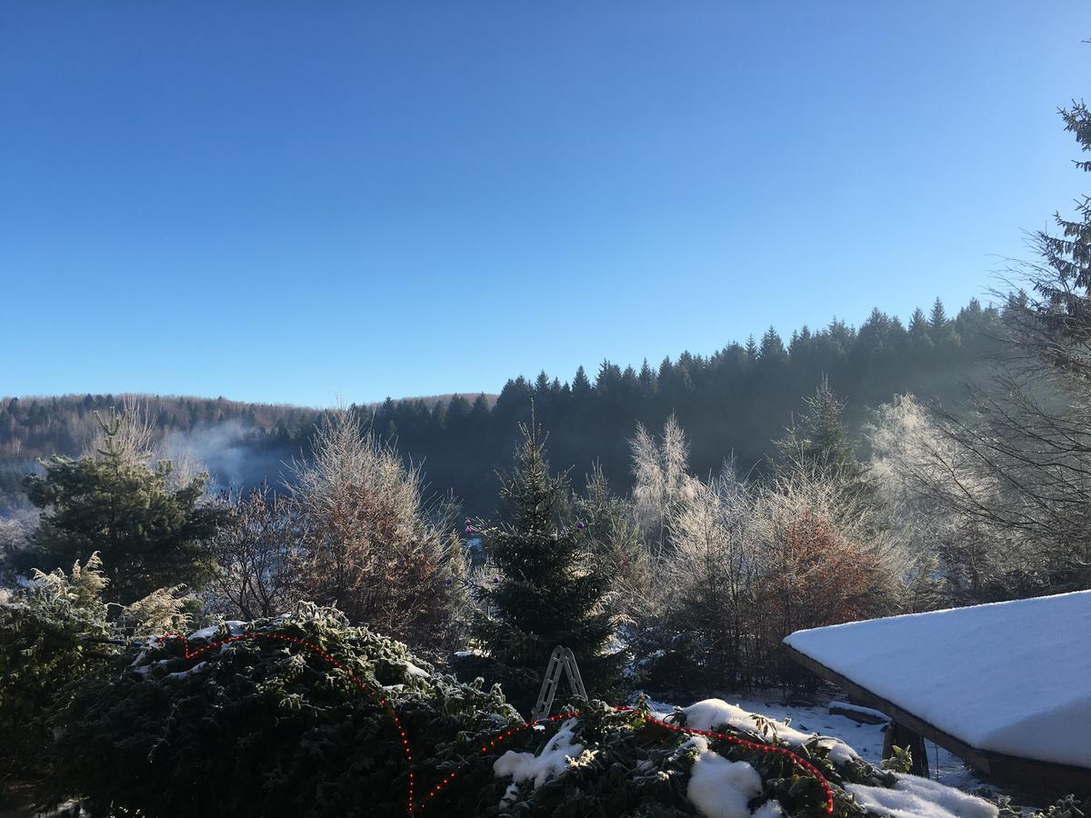 Vila Eden Felsőporumbák Kültér fotó