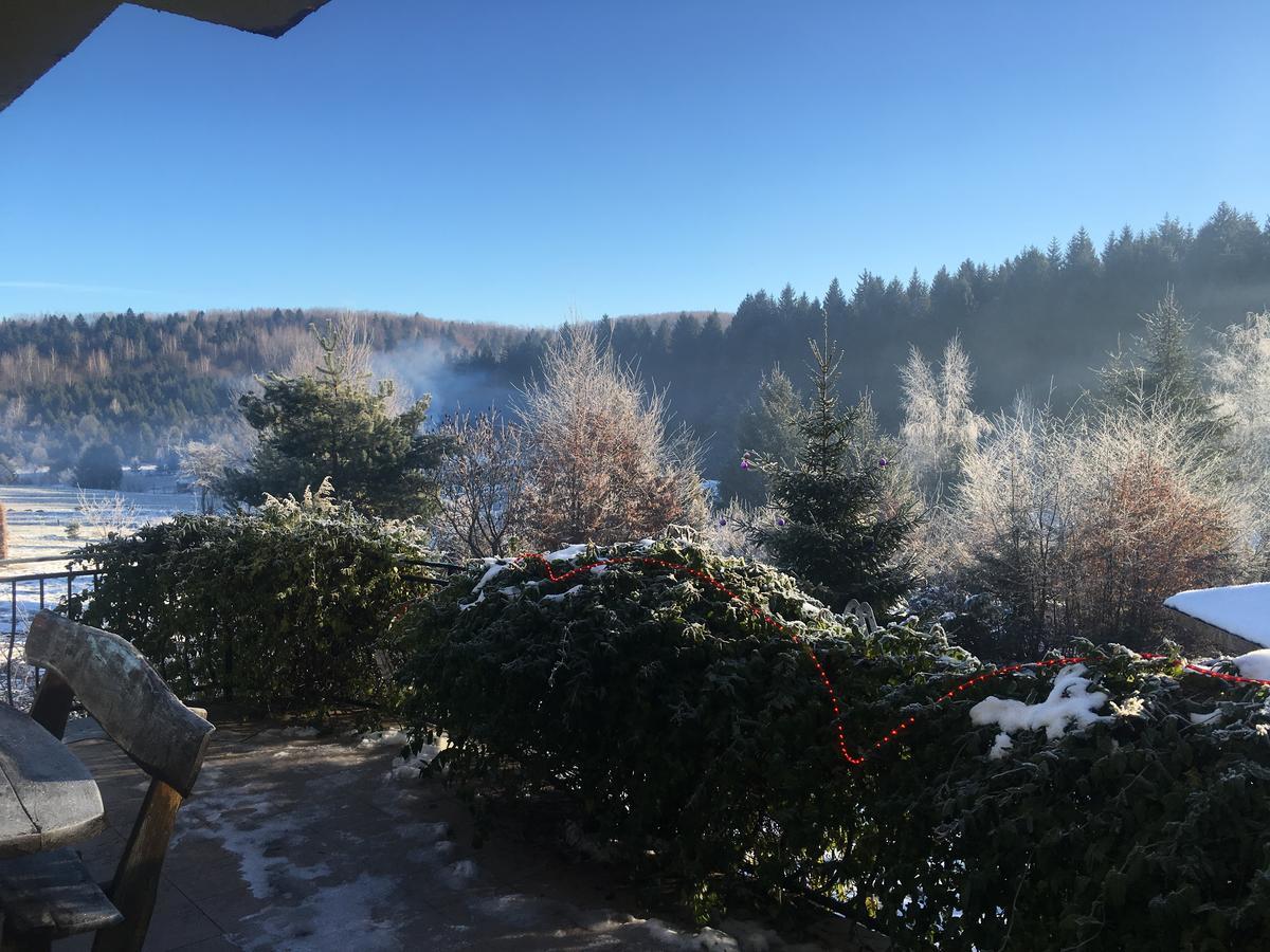 Vila Eden Felsőporumbák Kültér fotó